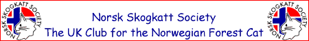 http://hot.virtual-pc.com/skogkatt